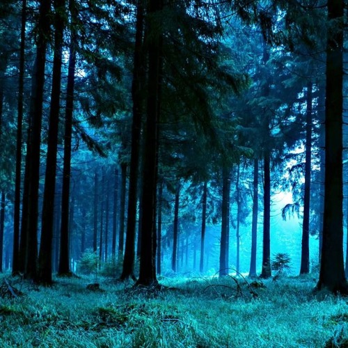 دانلود آهنگ نه عشق حالیشه نه لیلا و مجنون دوست داره ولم کرده میون غصه های بیشمارم سوگند