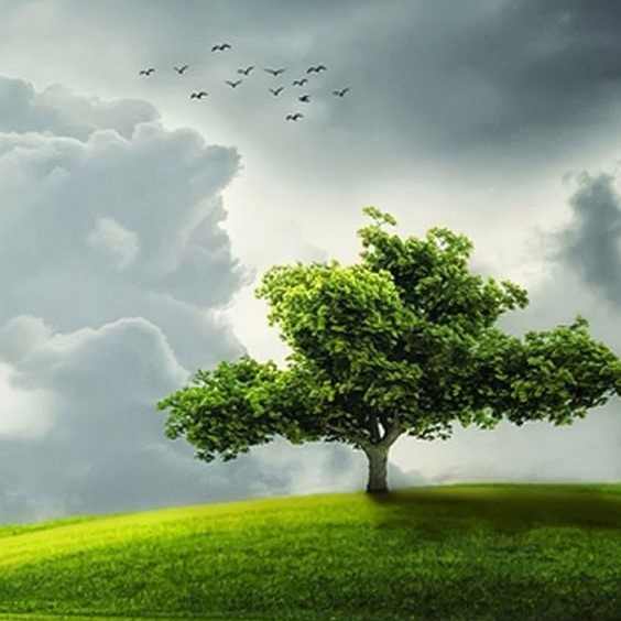 دانلود آهنگ دنیا کوچیکه واسه دو تا دیوونه تازه اول خل بازیمونه شب میزنیم بیرون سامی لو