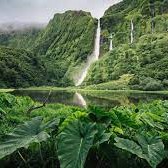 دانلود آهنگ دلتنگیمو نمیتونه هیچی بکنه برطرف حالمو نکن بدتر 