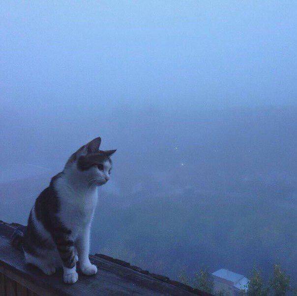 دانلود آهنگ بیا برگرد خیلی زوده برا رفتن همه چیو واسه برگشتنت جلوتر اماده کردم اوتلاو