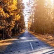 دانلود آهنگ طبق آخرین نتایج به دست اومده از تحقیقاتمون در شیمی 