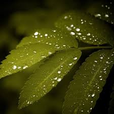 دانلود آهنگ نمیذارم بشه حرفت تموم میره لب رو لبت گردنت کبود کوروش