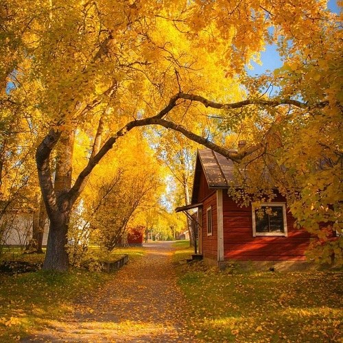 دانلود آهنگ هیترا صف شدن بگن اینم خاننده شد هرسال یه ایده جدید در میارم باز از کشو نگین فضلی