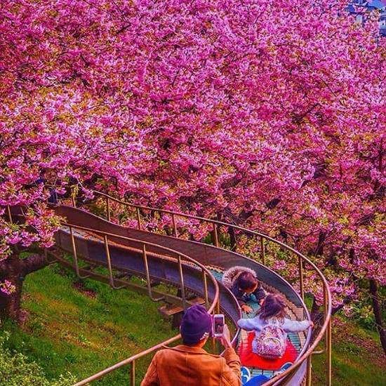 دانلود آهنگ تو اگه یادت باشه گفته بودی میمونم پهلوت نیواد