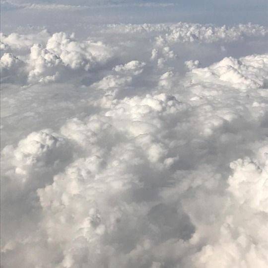 دانلود آهنگ من جلد تو هستم بر بام تو هستم تو شمس منی محسن چاوشی