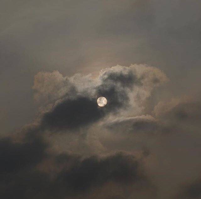 دانلود آهنگ هنو همه جا اسمتو میارم رفیقام میگن دراوردم شورشو زیاد فدی