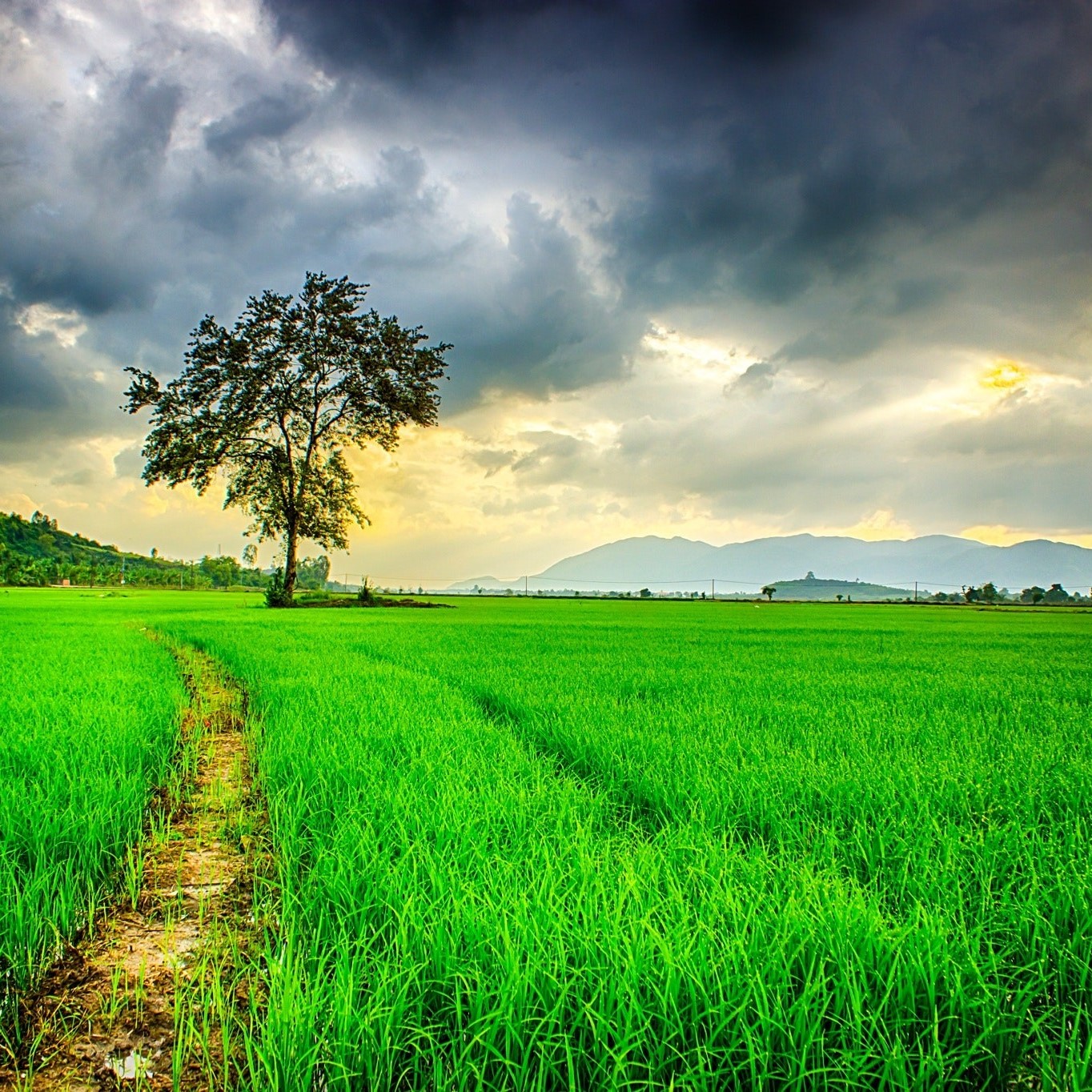 دانلود آهنگ دیدمت کنار اون ولی مث عکسامون چشمات نمیخندید 