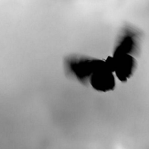 دانلود آهنگ کیک و شمع الجان