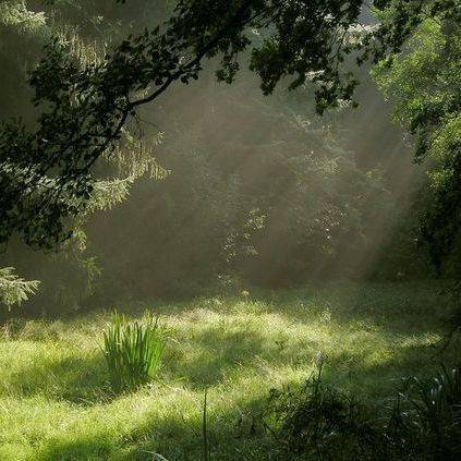 دانلود آهنگ ستاره بارون شه برایه چی دلمو بشکونم برای کی پوریا پوتک