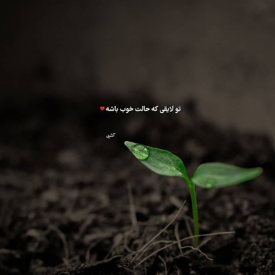 دانلود آهنگ مو براش دریا شدم او با برکه میپرید لنا