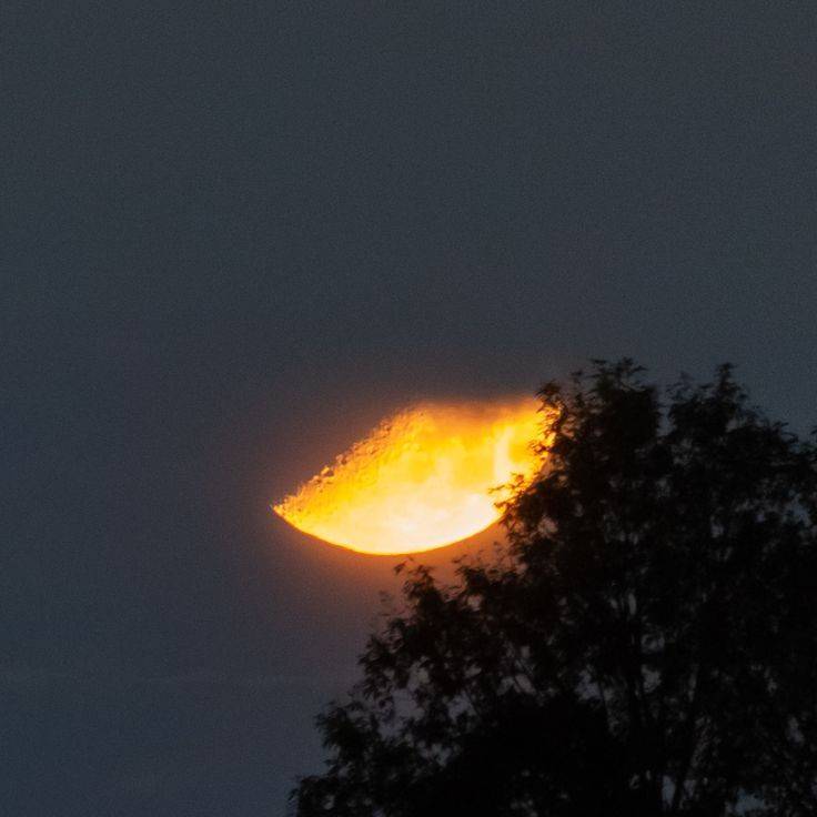 دانلود آهنگ بگو چرا رفتی قلبمو شیکوندی نمیخواستم بگم اونم رفت شروین پیروزه