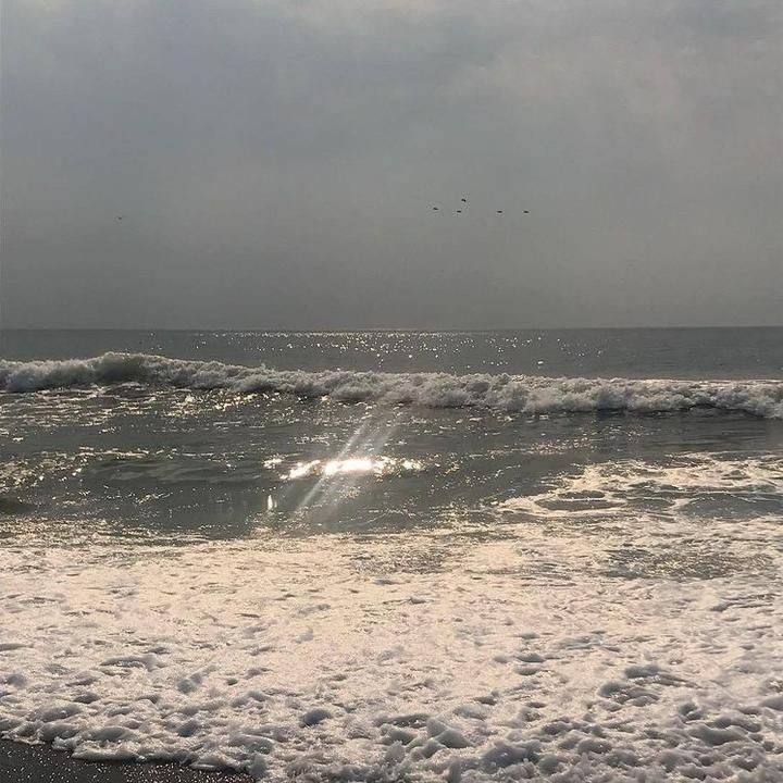 دانلود آهنگ رو به جلو رو به افق تو باغچه نه این بار تو بوستانی بزرگ مهراد هیدن