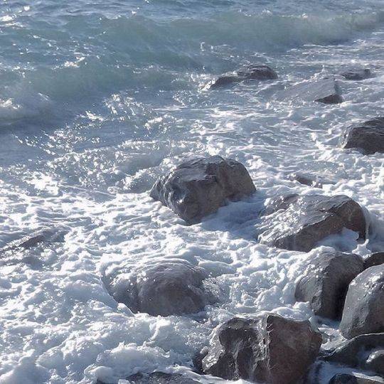 دانلود آهنگ برار دارمه مازندرانی دتا گر خدایی عقاب آسیایی ماهان خادمی