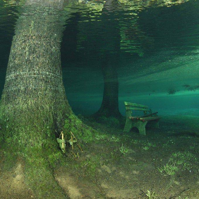 دانلود آهنگ شاید نموندی کنارم ولی باز سیوی همیشگی تو اره همه چیمی خب