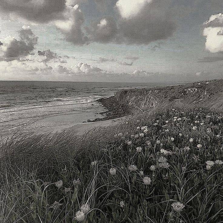 دانلود آهنگ برو که بی حقیقتی تو قلب من جات نیست شروین