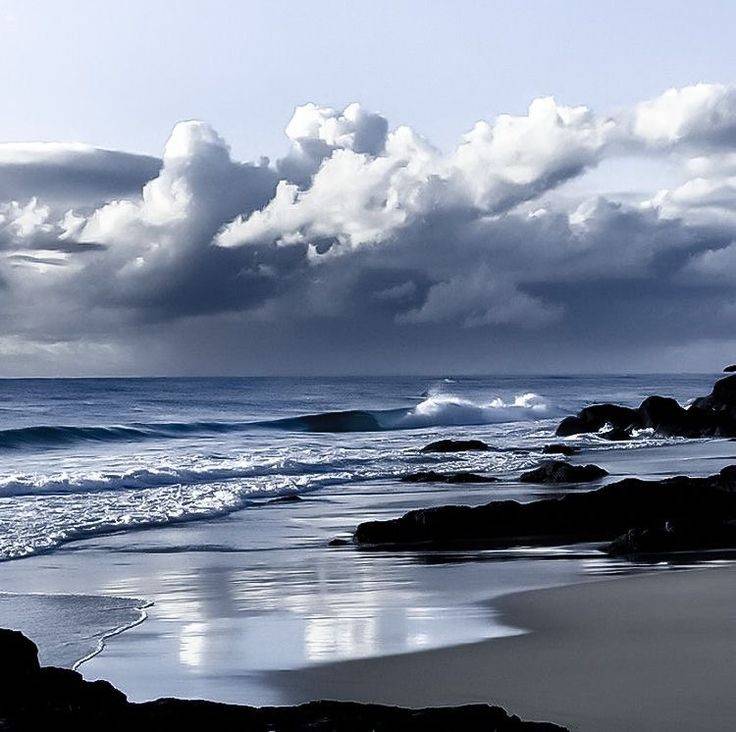 دانلود آهنگ تو که نمیدونی از حالم چرا شدی سرد با من محمد اف ار