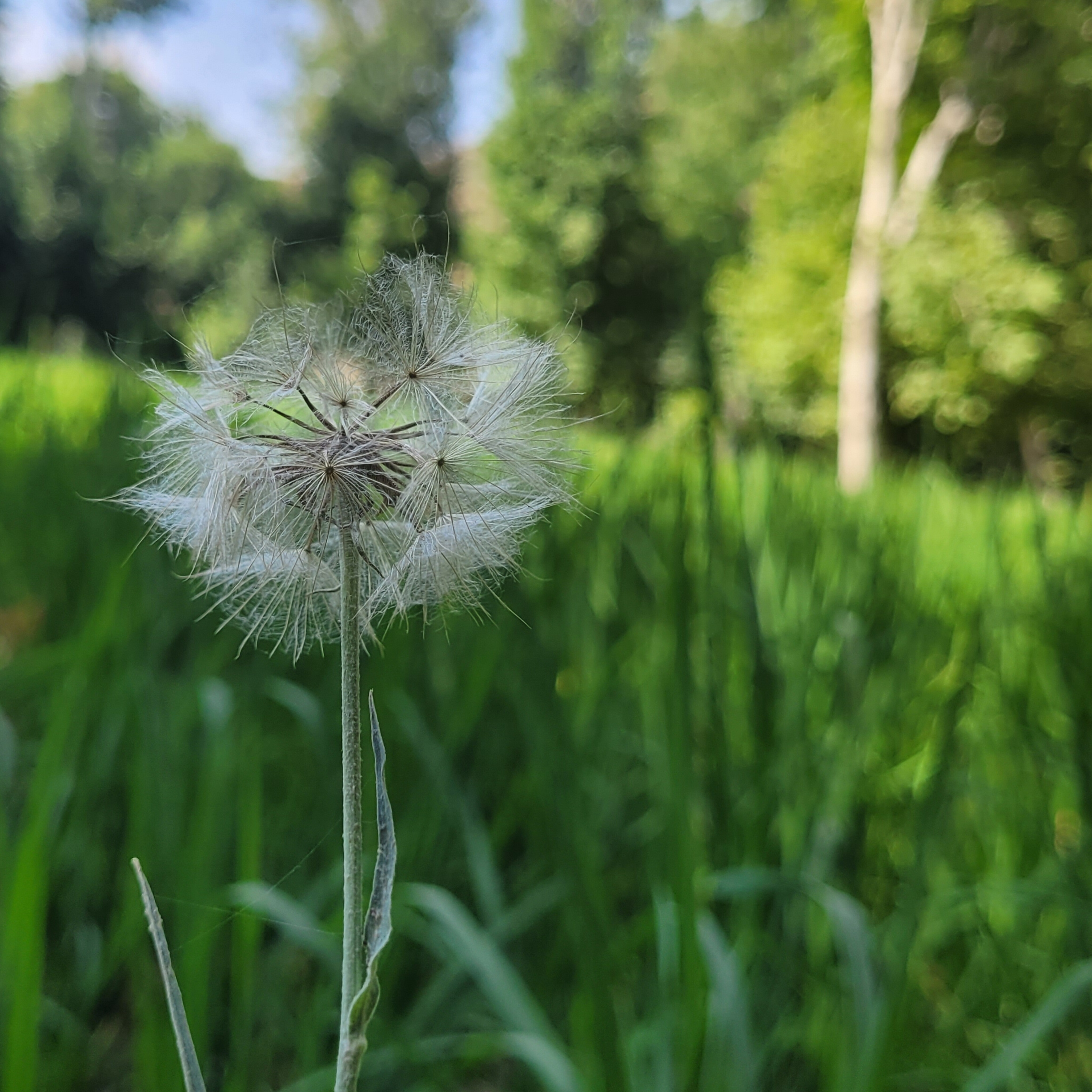دانلود ریمیکس خانمی کن و صبر کن بازم امروز جشن میگیریم ماریان 