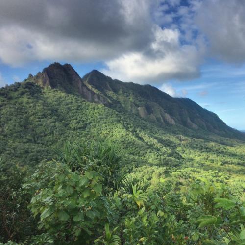 دانلود آهنگ بله بله قربان گفتیم تازه دارن به ما میگن چشم سلطان رضا پیشرو