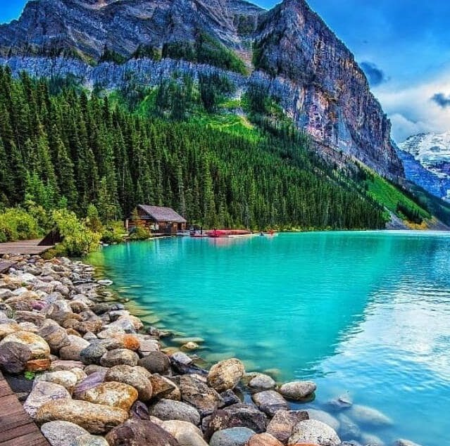 دانلود آهنگ فکر کردی تورو زنده دوست دارن عکستو رو حجله دوست دارن هیچکس