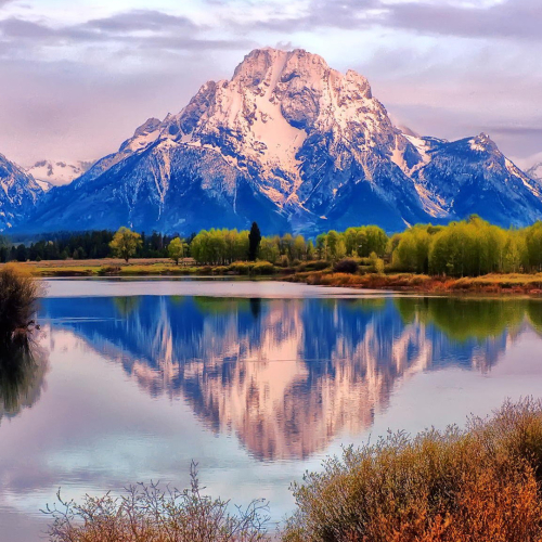 دانلود آهنگ نظم رضا پیشرو