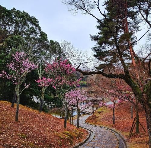 دانلود آهنگ من و یادت نمیره که چشات هنوز خیسه بهزاد پارسایی