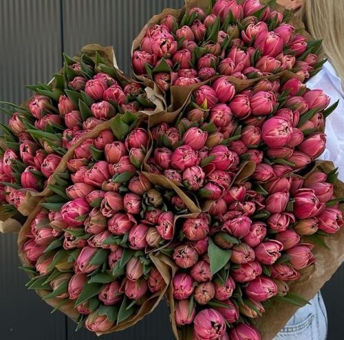 دانلود آهنگ هی مونالیزا بیای پیششو بیای توی کریوا   داریوش تی کی 