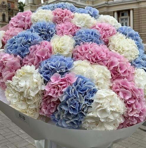 دانلود آهنگ اینجا مردم درگیر حجاب حجاب ولی بالا دست مشغول بچاپ بچاپ فانی 