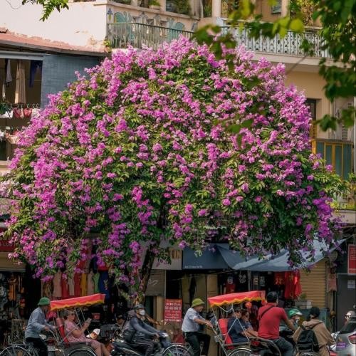 دانلود آهنگ اداره گازم تخته موتورو کردم دنده اداره گازم تخته جیگاد و امو 