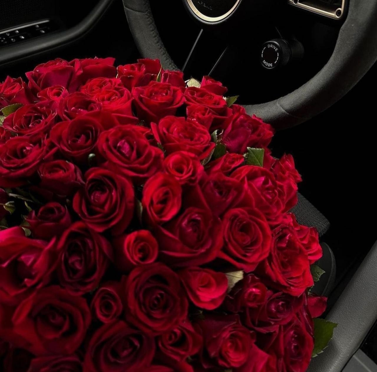 دانلود آهنگ ما رو باید قاب بگیرن باید از ما یاد بگیرین  مهیار 