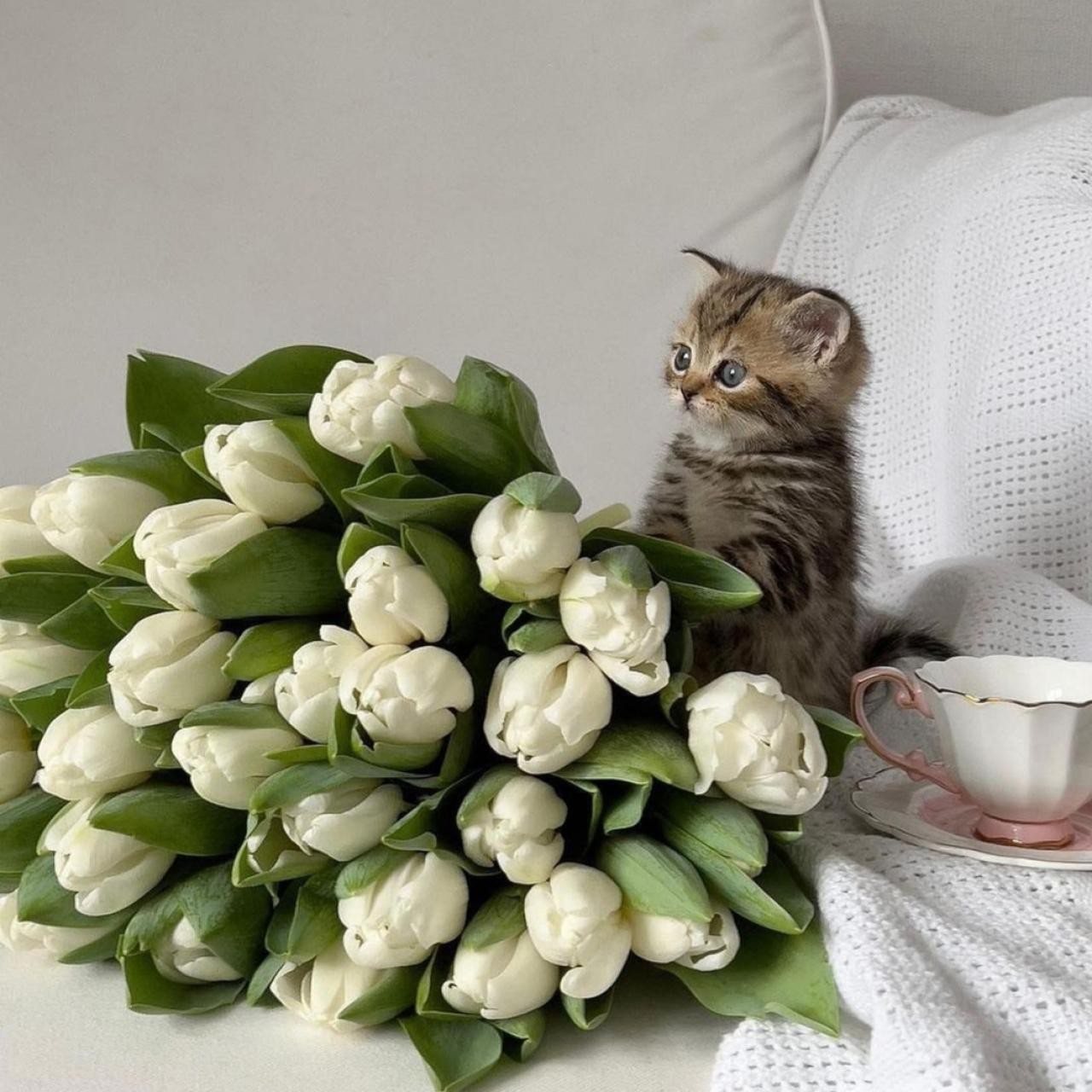 دانلود آهنگ بیرون ماشین گله خنک هوای دره صفراشو دور پاهام  