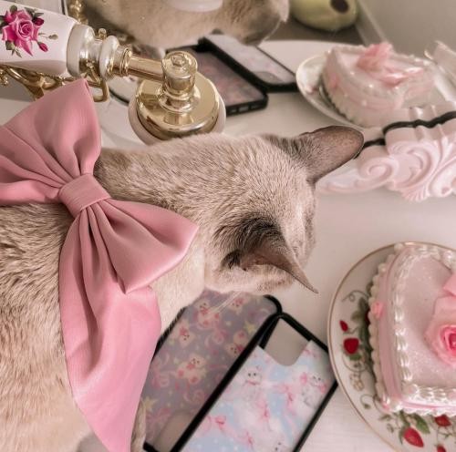 دانلود آهنگ نسیم روح نوازشو دیدم اون گفت همیشه پول داد  معراج تهرانی 