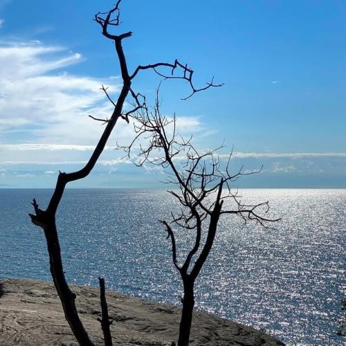 دانلود آهنگ درارو بستن و نمیشه مست شیم ولی می کوبیم و صبح جای همیشه هستیم عرفان پایدار