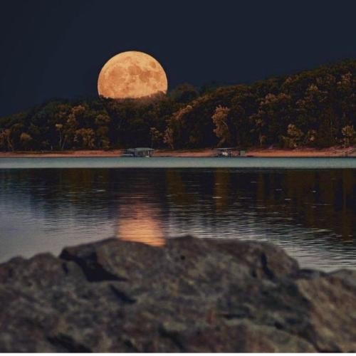 دانلود آهنگ یه مادر از ناله آب شد تصویر روبروم از گریه تار شد خالص 