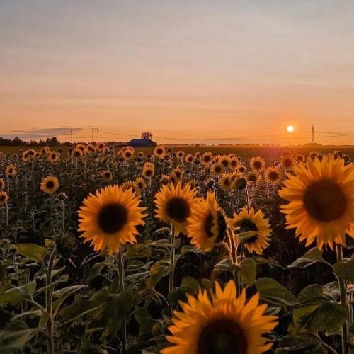 دانلود آهنگ نمیدونی چقدر برات فرق کردم هنوز منتظرم شاید یه روز برگردی مستر کیارش