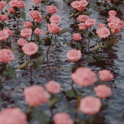 دانلود آهنگ انت جمیل حبیبی تو عشق بی رقیبی امید جهان 