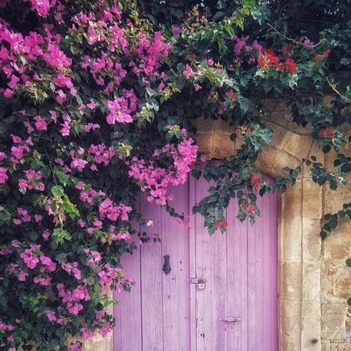 دانلود آهنگ تو هم فقط منو داری اگه درست ببینی رو به روتو امیر تتلو 