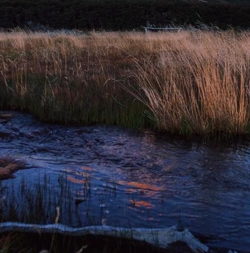 دانلود آهنگ مامان منو ببخش اگه بودم برات یه پسر بد  علیرضا عباسی