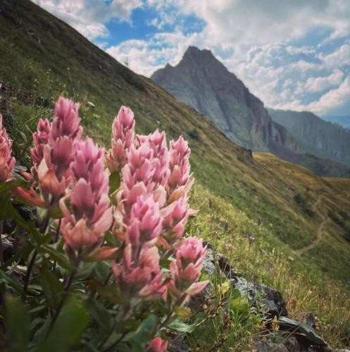 دانلود آهنگ ماها توی قاف قیف کردیم ماها باز گرمابه رو لیف کردیم علی النور