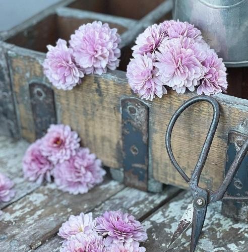 دانلود آهنگ  هر هفته باربیا رو لوکم تو راهن تا ویلا  آرما و چرسی 