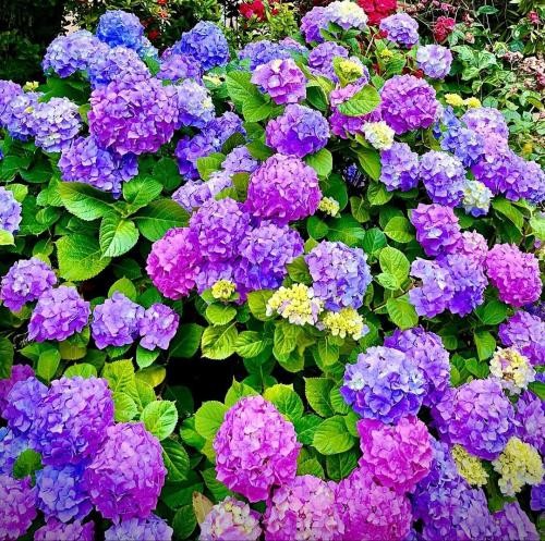 دانلود آهنگ دست به خِدکشی بَزومه طناب گردنه دور مهراب