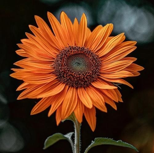 دانلود آهنگ می شنوی صدامو ولی تهران نیستم میبندم بارمو بی صدا میرم لنا