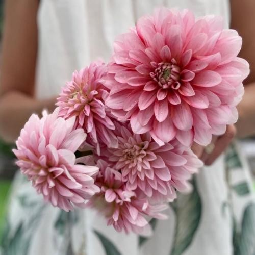 دانلود آهنگ برای فتح قلب من یه لبخند تو کافی بود حمید عسکری