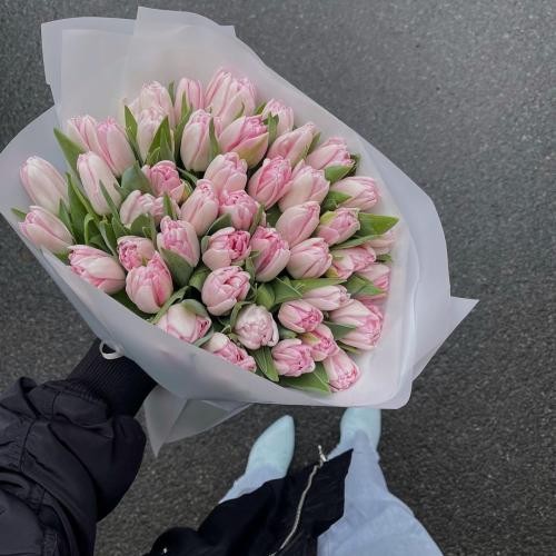 دانلود آهنگ از بازی بره بازم میده بک هود کارا چاقه بک هود بک بک بک هوداک 4