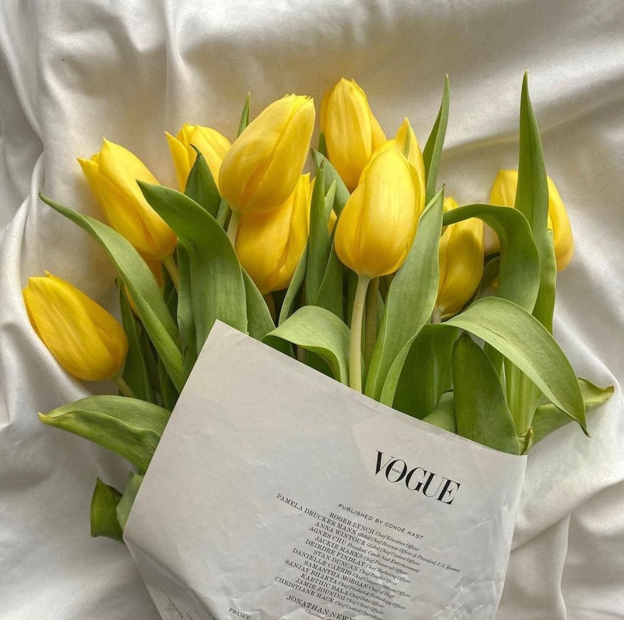 دانلود آهنگ میخواستم بخوابم پیشت عین بی خونه ها میخواستم بگیرم دریارو با دستام چرسی