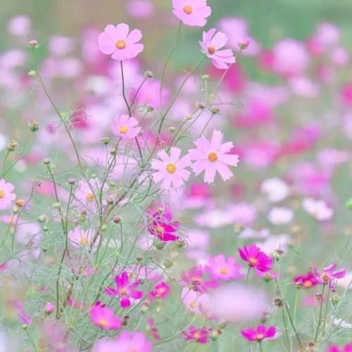 دانلود آهنگ هر روز انگار از همه از جامعه ترد میشی  مخوف