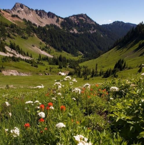 دانلود آهنگ از یه ایده ی نو تا جفت گوش های تو  عاریوژ