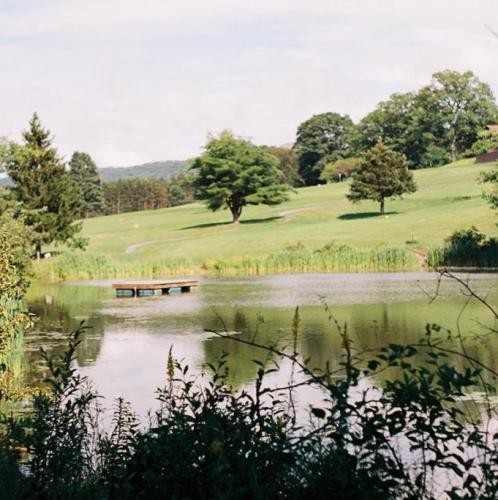 دانلود آهنگ رد خط پنجه بوکس روی دستمه نامردی با نامرد ناز شصتمه علی النور