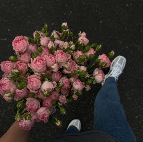 دانلود آهنگ ترافیک سنگینه بریم که جا نیست موندیم که پردیسه یا چرا پاریس سینات