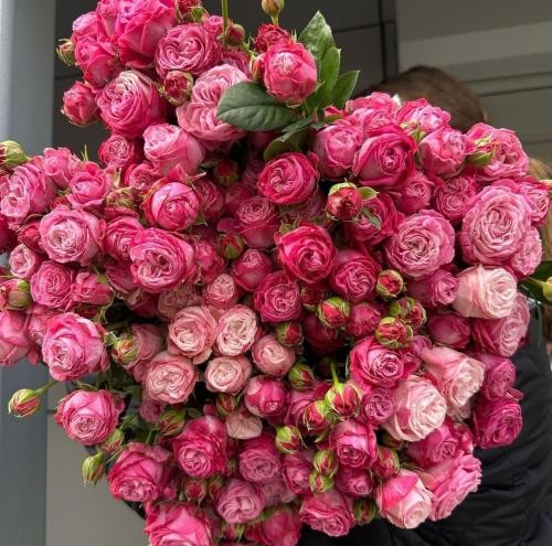 دانلود آهنگ پروانه م پر زد و از پیله رفت منم دارم میشم بیبی پیرزن لنا