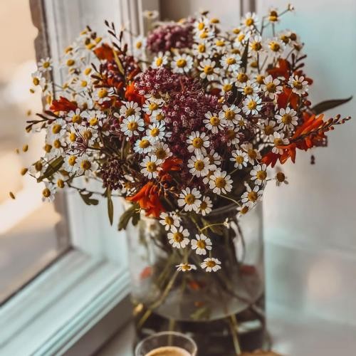 دانلود آهنگ گریه کردی تا دیدی لینکهامو تو هم دیگه خیلی دیره خیلی دورم مانیاک 